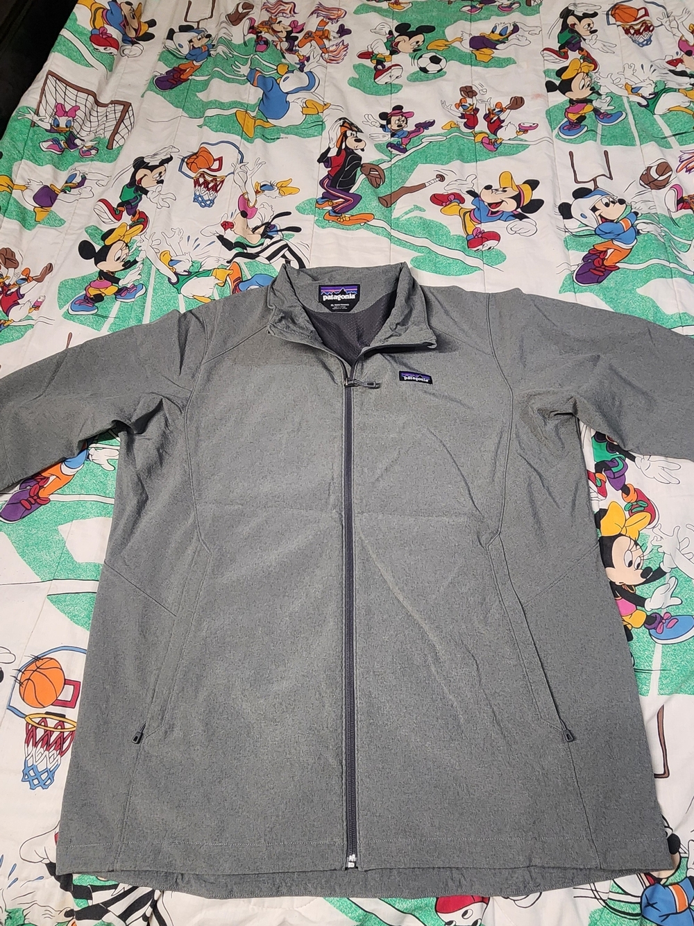 Patagonia Gray Lightweight Soft-Shell Jacket